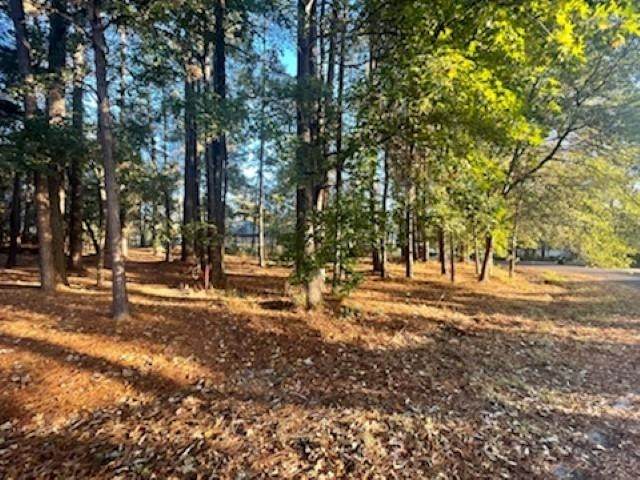 Pine Island Dr - Photo 1