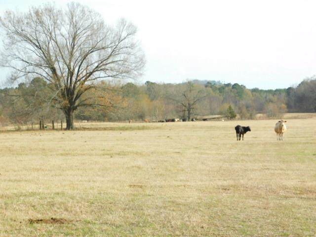 TBD Fm 2057 - Photo 1