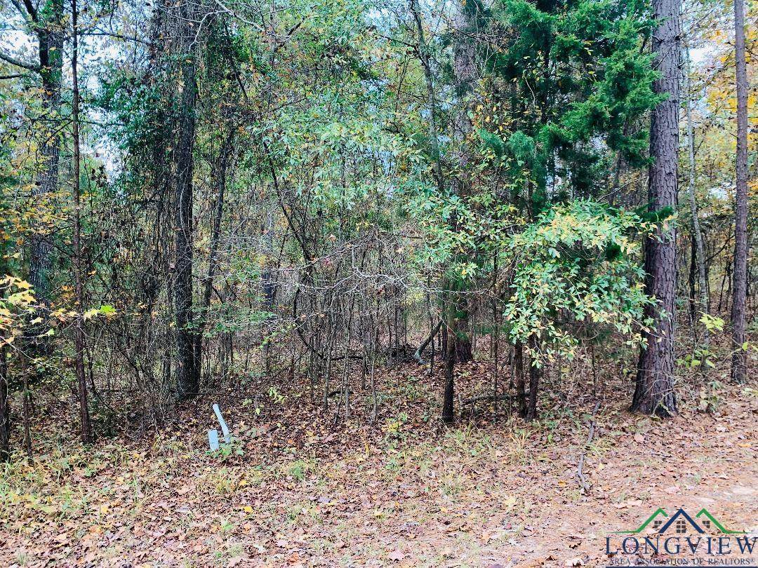 TBD Ravenwood - Photo 1
