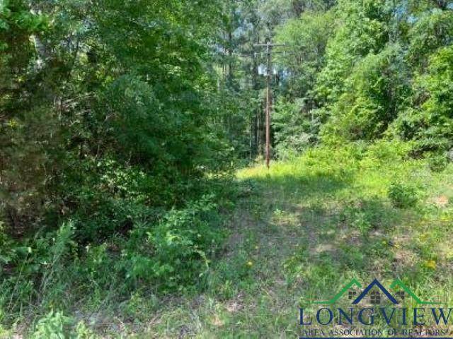 TBD Bogey Lane - Photo 1