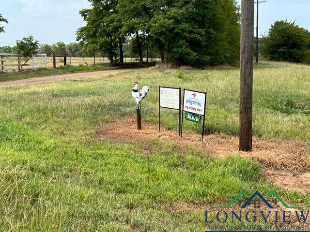 407 County Road 3213 - Photo 1