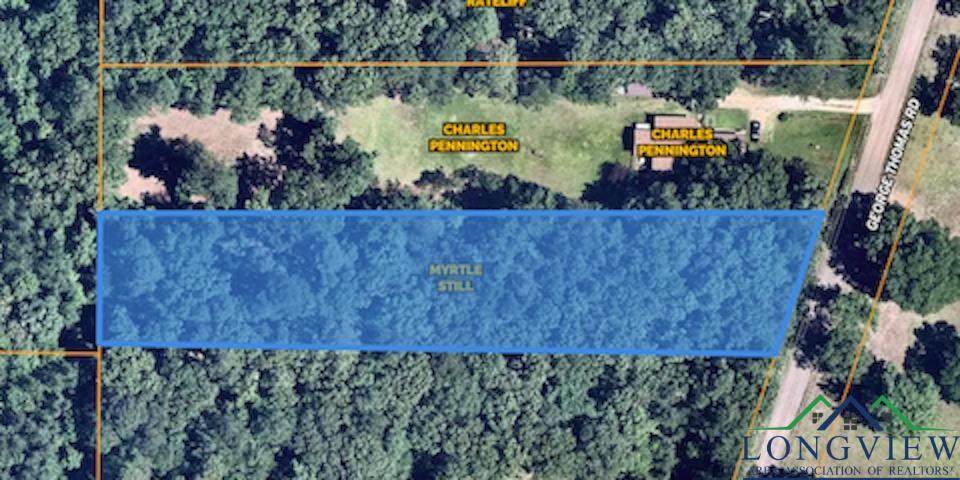TBD George Thomas Rd - Photo 1