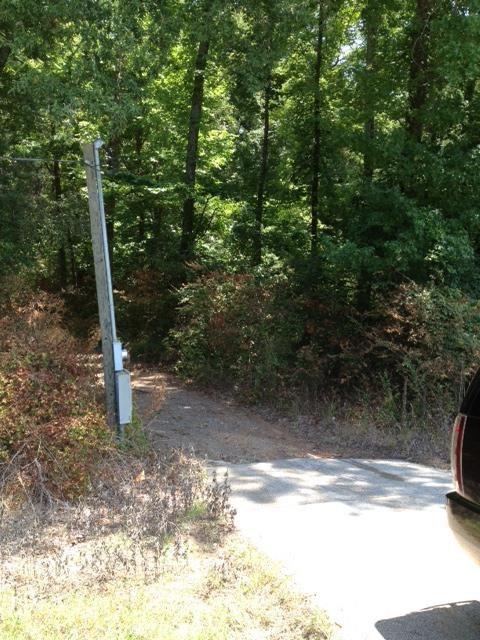 Hwy 259 S - Photo 1