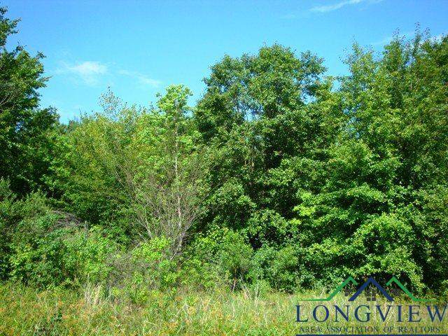 Lot 17 Heather Dr - Photo 1