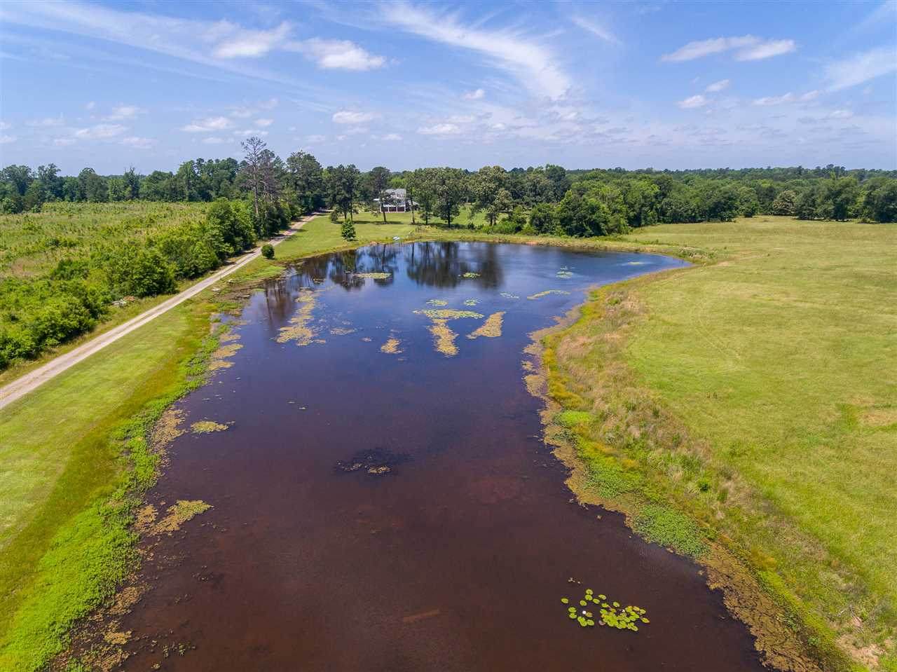 992 Bill Davis Road - Photo 1