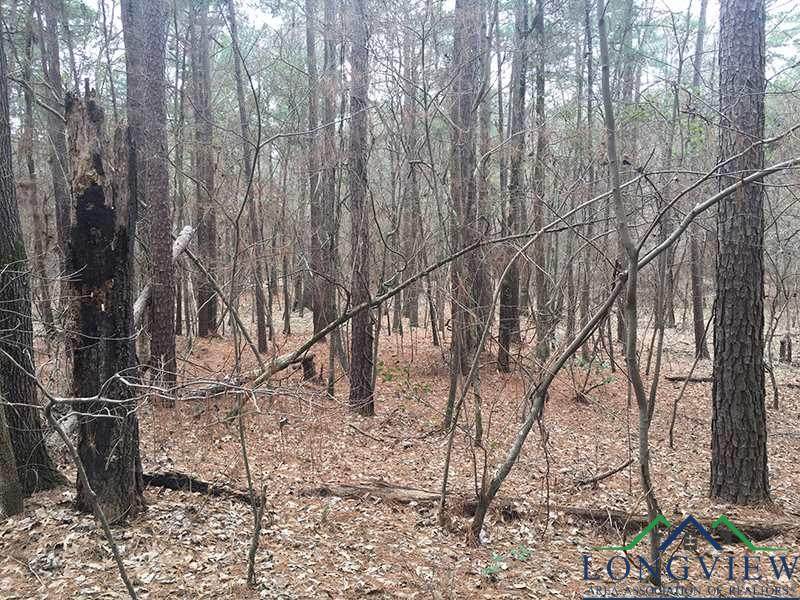 1355 Myrtle Springs Rd - Photo 1