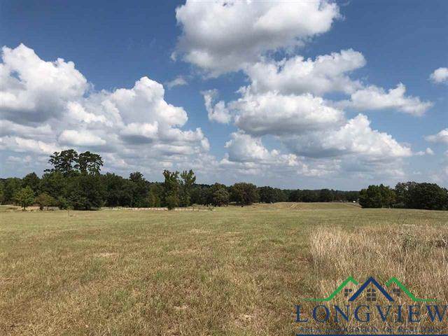 TRACT 11 Fm 3358 - Photo 1