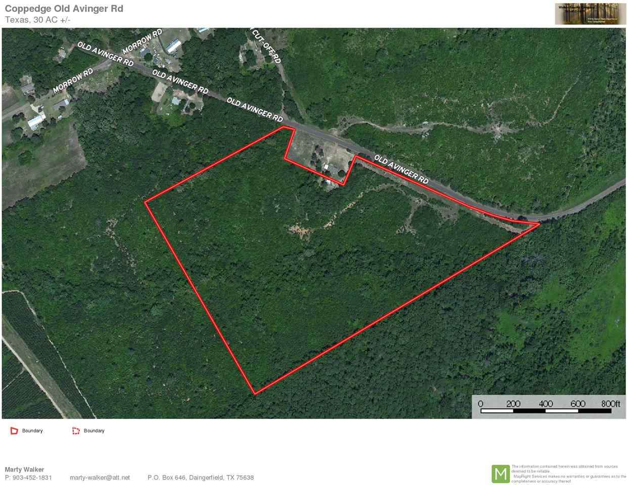 TBD Old Avinger Rd - Photo 1