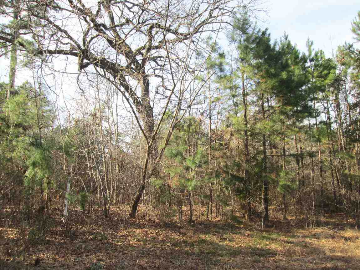 Tr 2 Willow Creek Ranch Rd - Photo 1