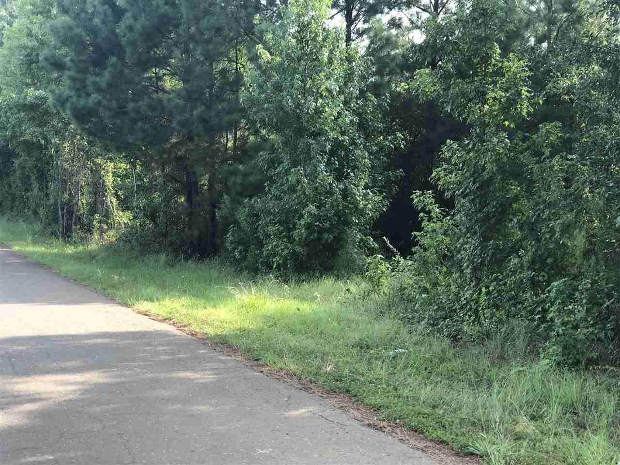 TBD Baker Bridge Rd. - Photo 1