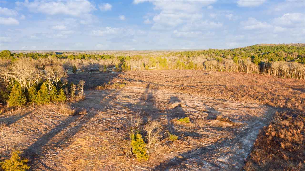 TBD 8 ACRES N Live Oak Rd - Photo 1
