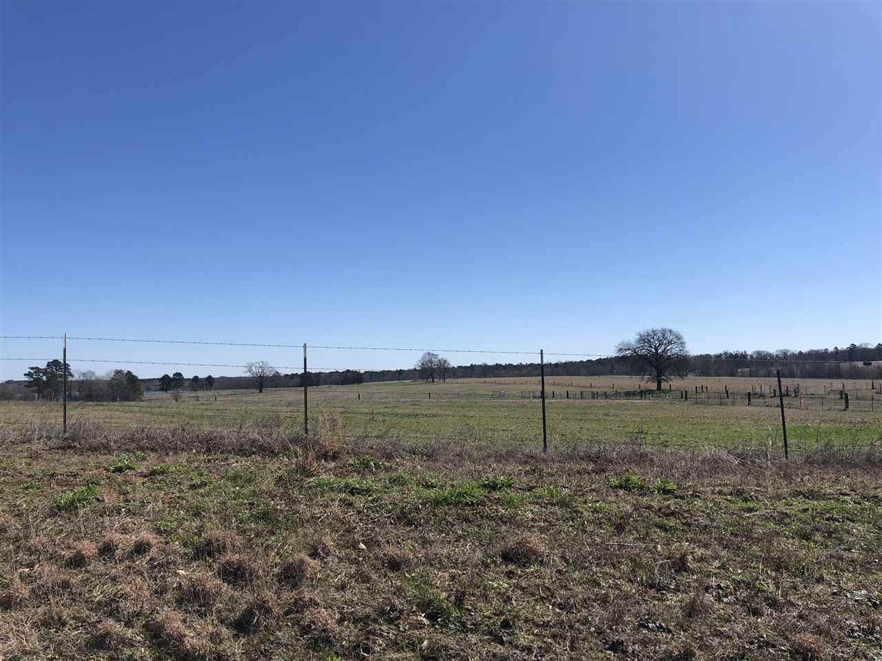 TRACT 1 Tbd Fm 1400 - Photo 1