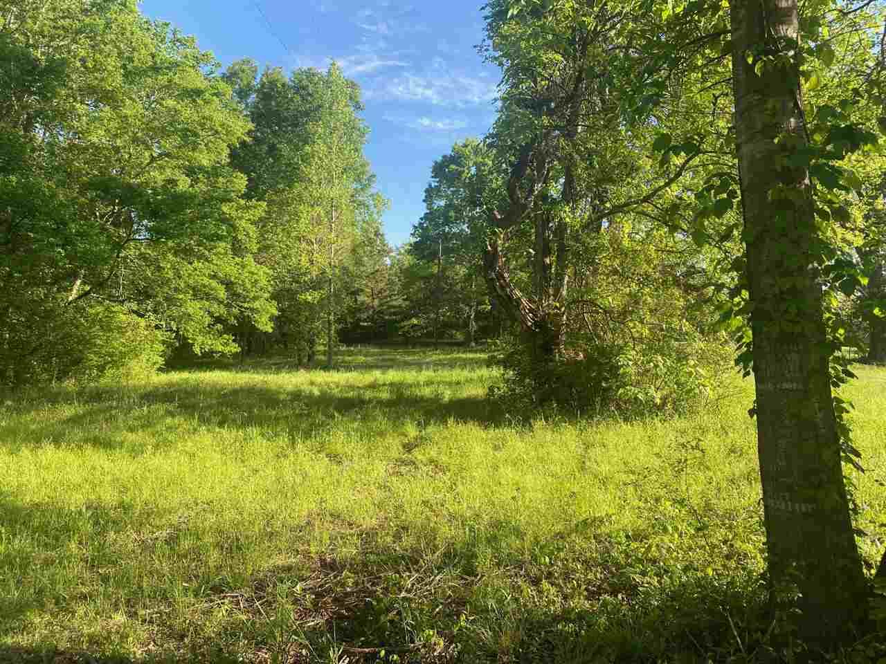 TBD Azalea Rd - Photo 1