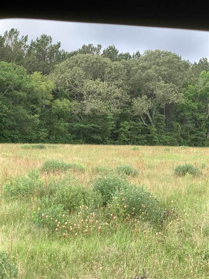 LOT1 (16.43) Highway 135 - Photo 1