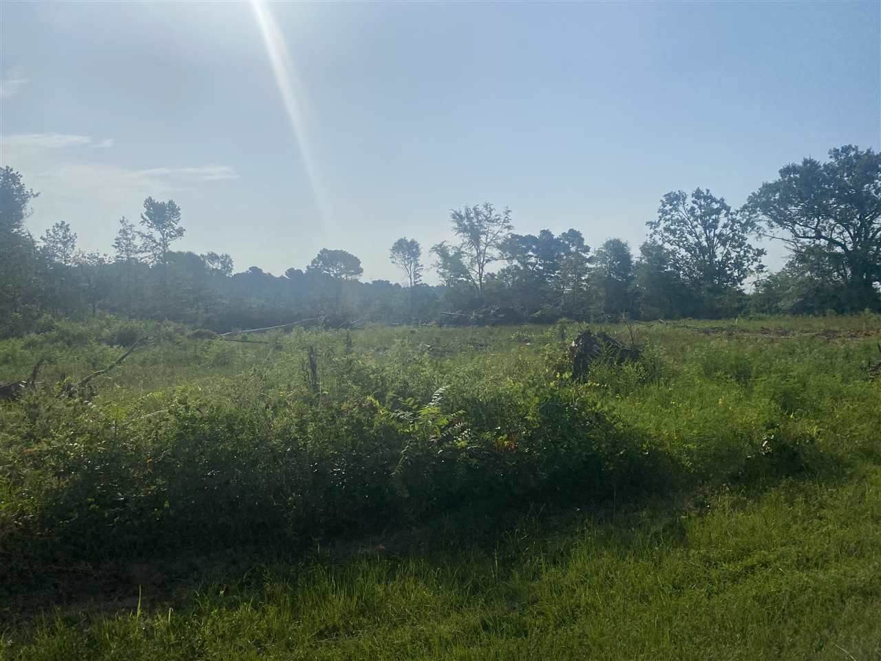 TBD Curtis Black Road - Photo 1