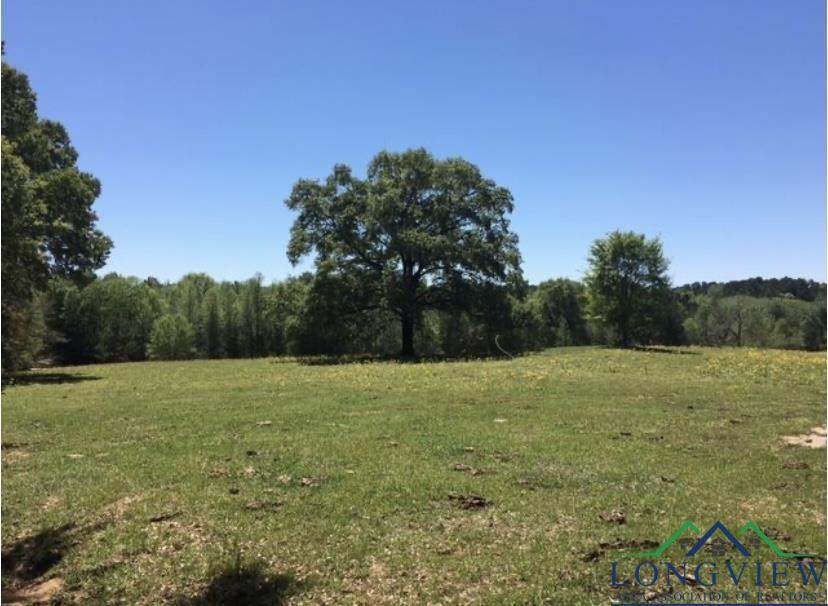 County Road 2112D - Photo 1