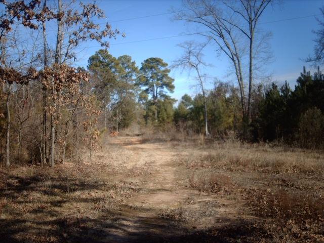 15667 N Hwy 43 - Photo 1