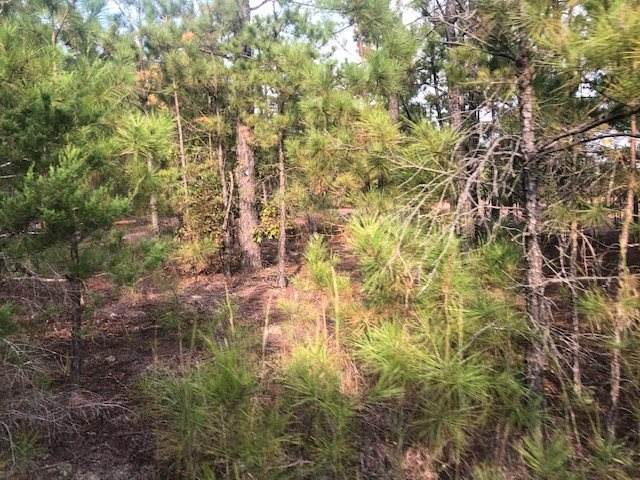 TBD Cr 4114 Lovelady Rd - Photo 1