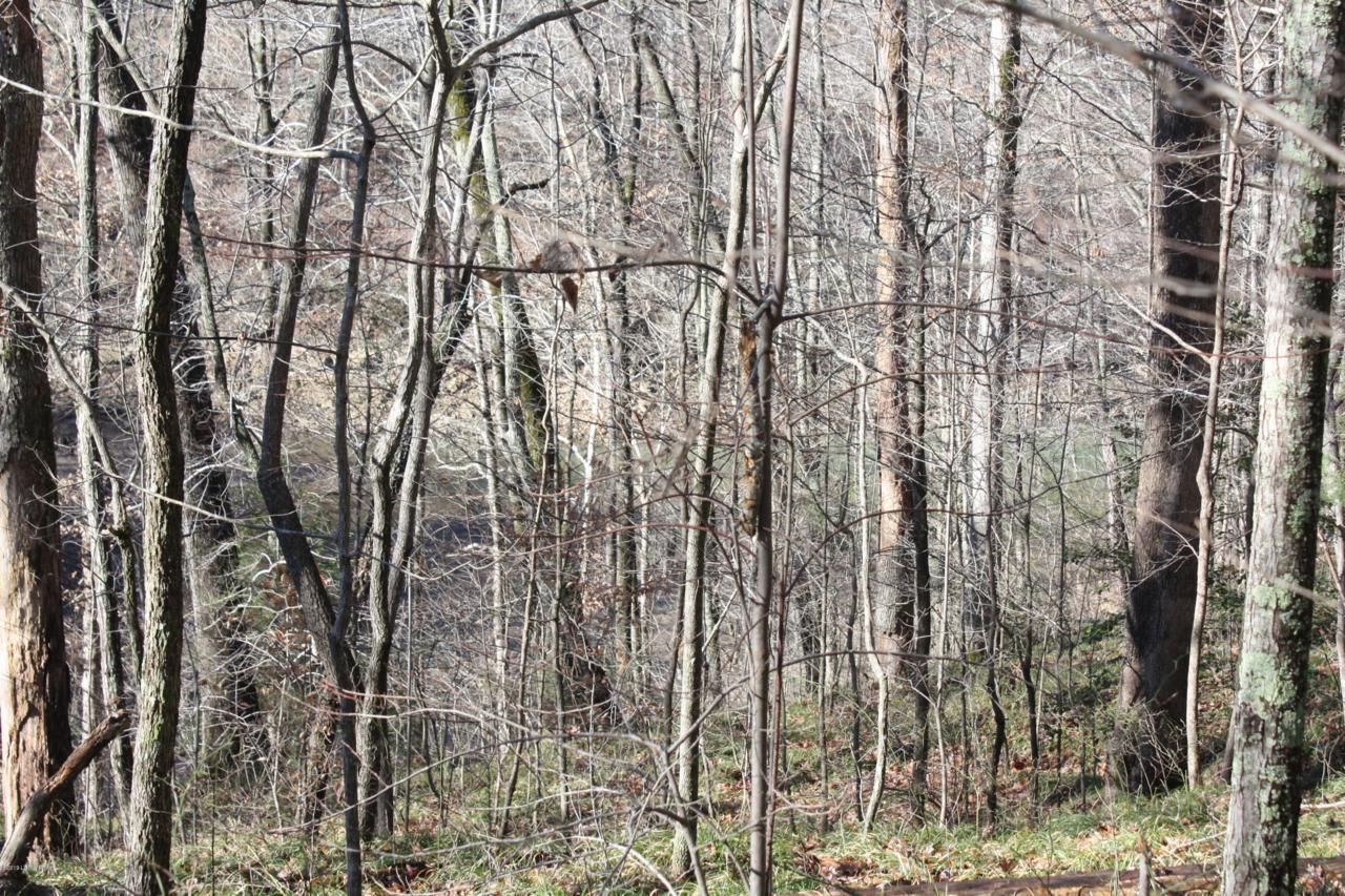 24-27 Laurel Ridge Rd - Photo 1