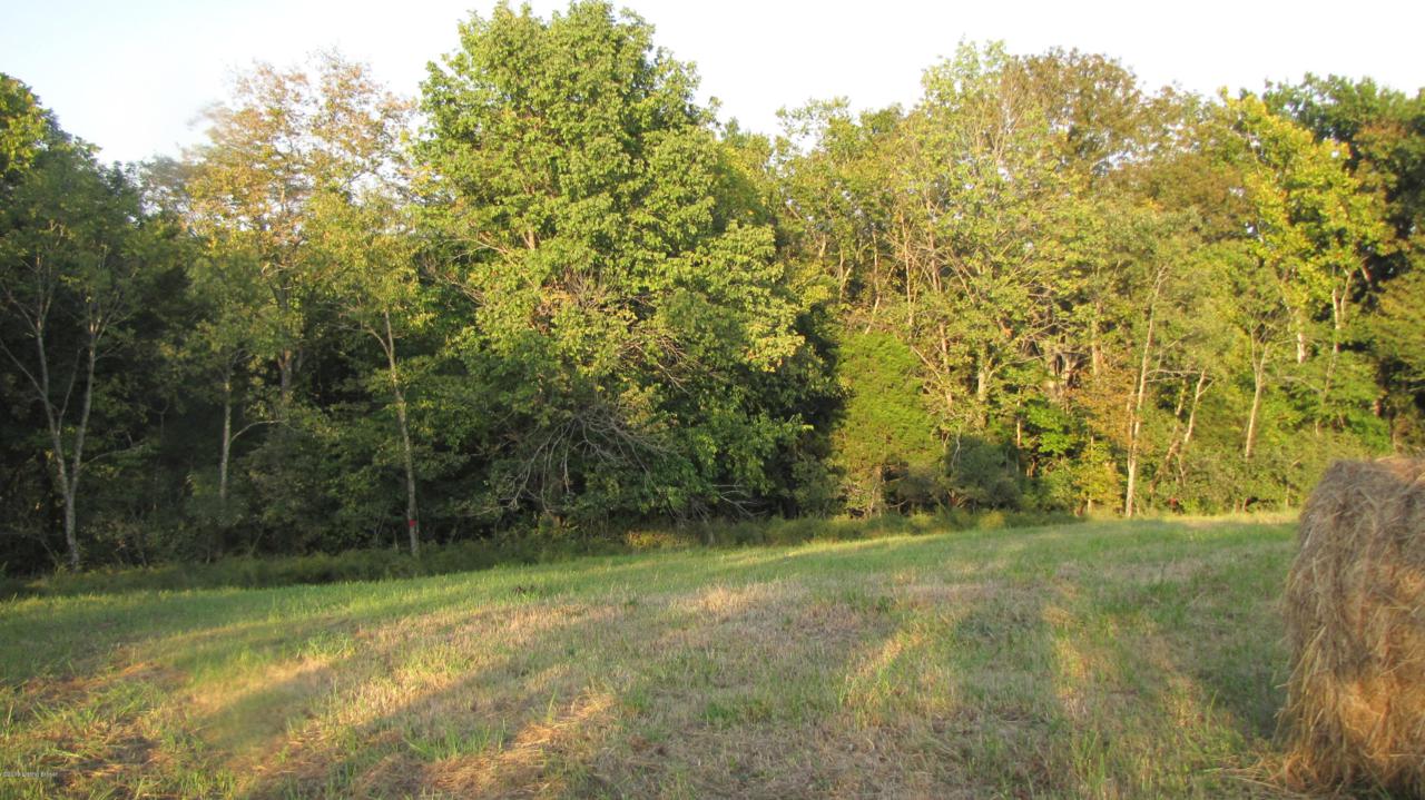 10-11 Ashes Creek Ln - Photo 1