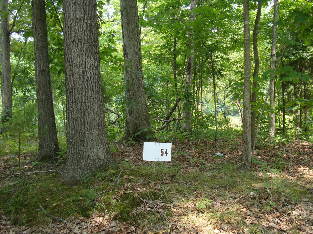 lot 156 Gannaway Rd - Photo 1