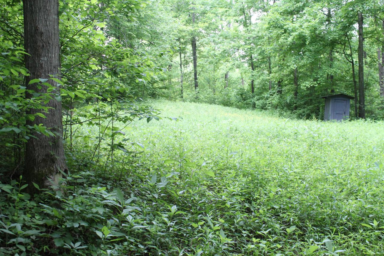 5300 Falls Of Rough Rd - Photo 1