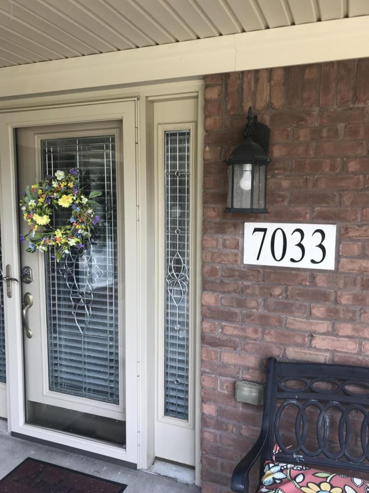 7033 Adeno Way - Photo 1