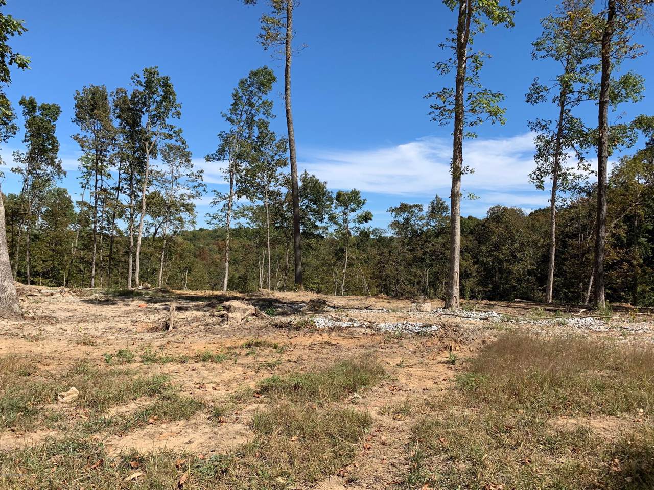 Lot 12 Myers Ln - Photo 1