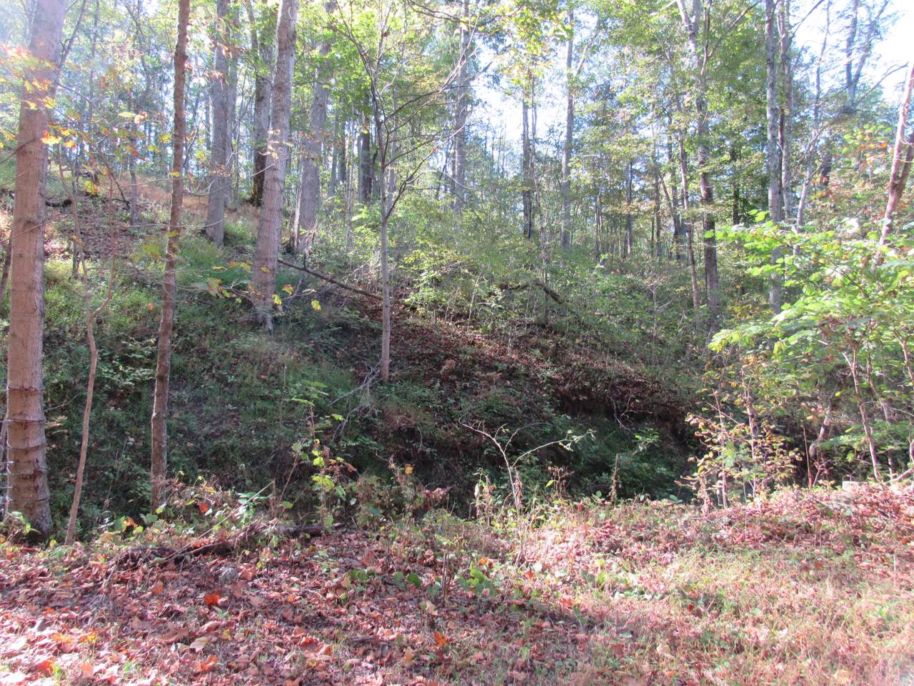 0 Perkinson Ln - Photo 1
