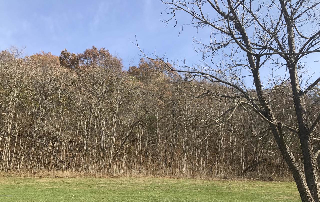 0 Prong Locust Rd - Photo 1