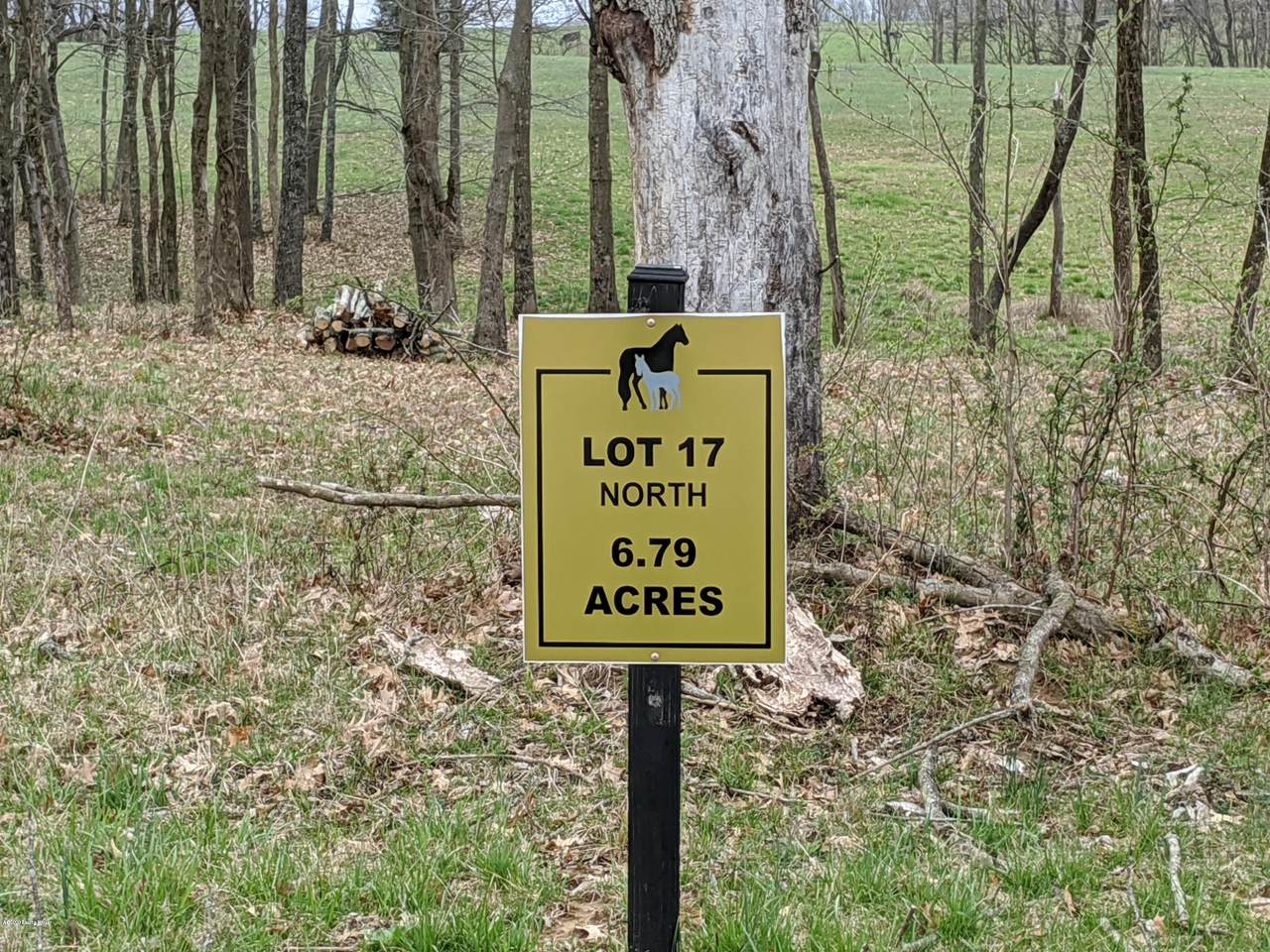 Lot 17N Equestrian Lakes Ln - Photo 1