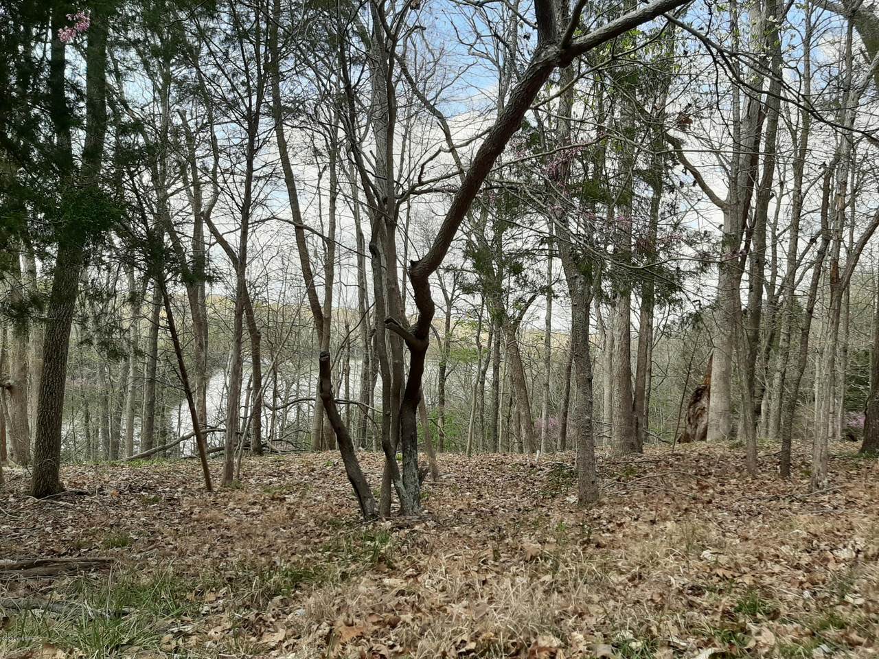 173 Ridge Pole Rd - Photo 1 173 Ridge Pole Rd - Photo 1