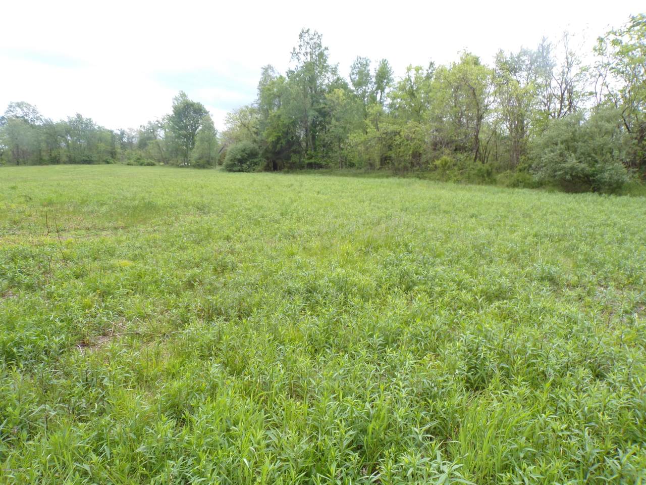 8446 Elmburg Rd - Photo 1 8446 Elmburg Rd - Photo 1
