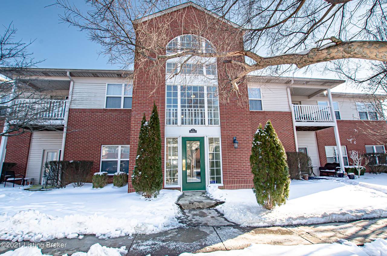 8003 Magnolia Ridge Ct - Photo 1