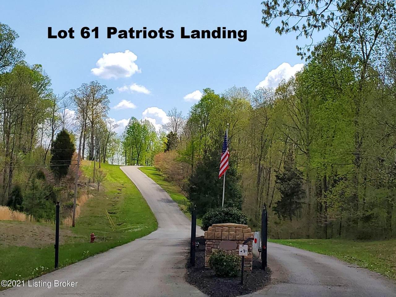61 Patriots Landing Ln - Photo 1