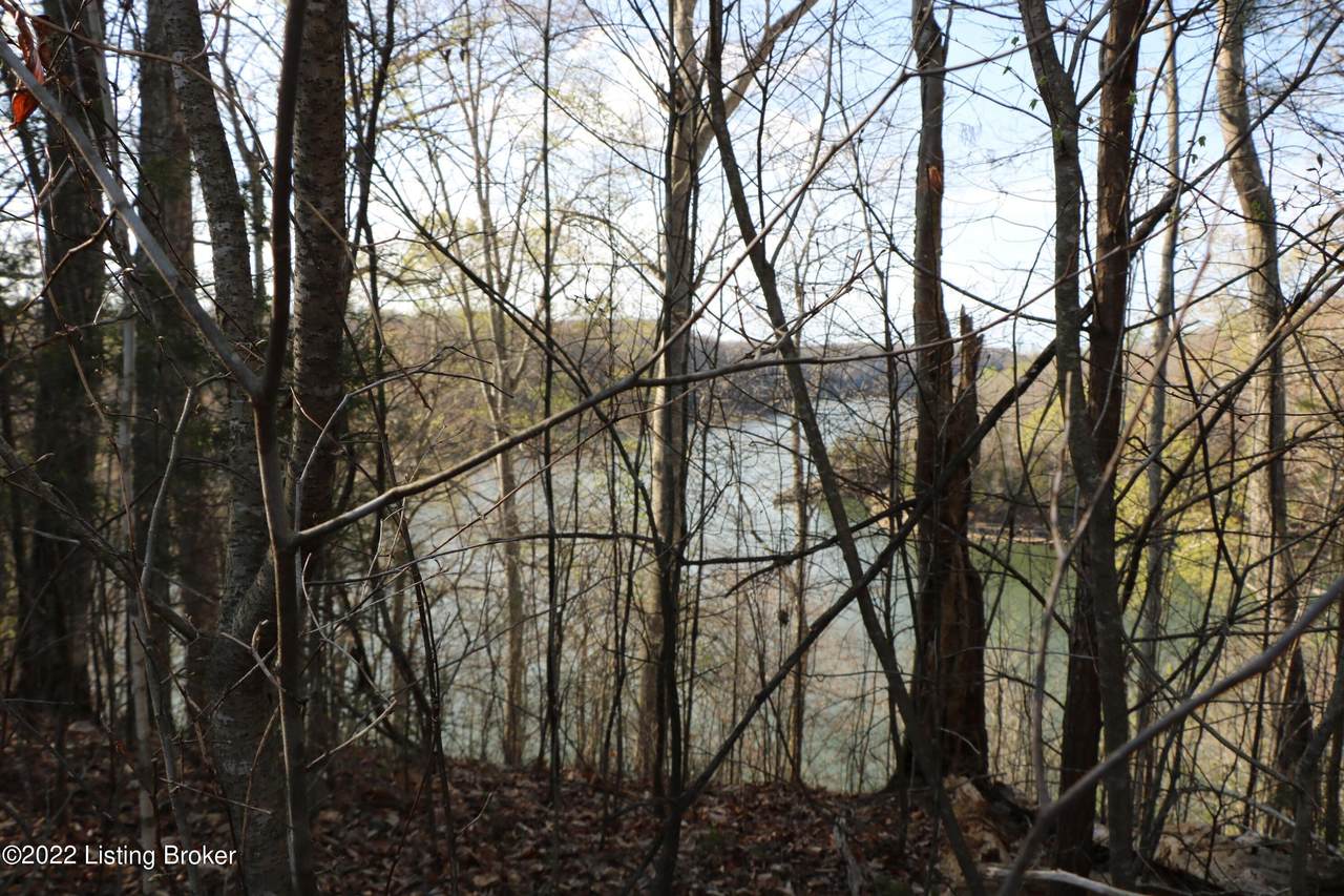 Lot 6 Twin Creeks - Photo 1