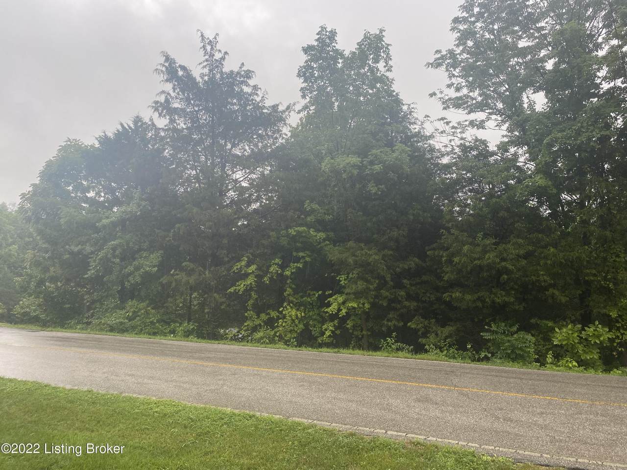 Lot 39 Doe Valley Parkway East - Photo 1