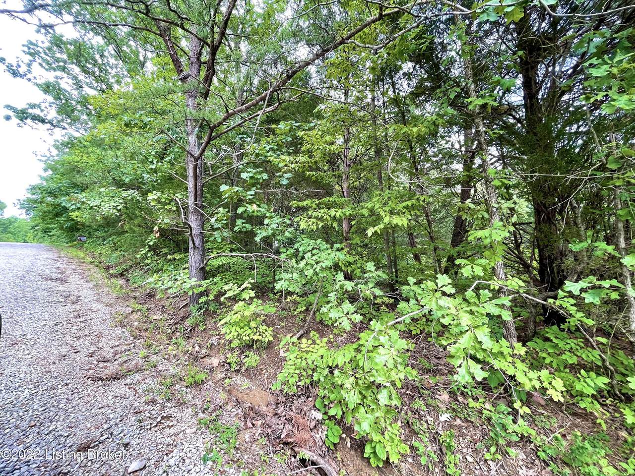 Lot 48 Hillcrest Loop - Photo 1