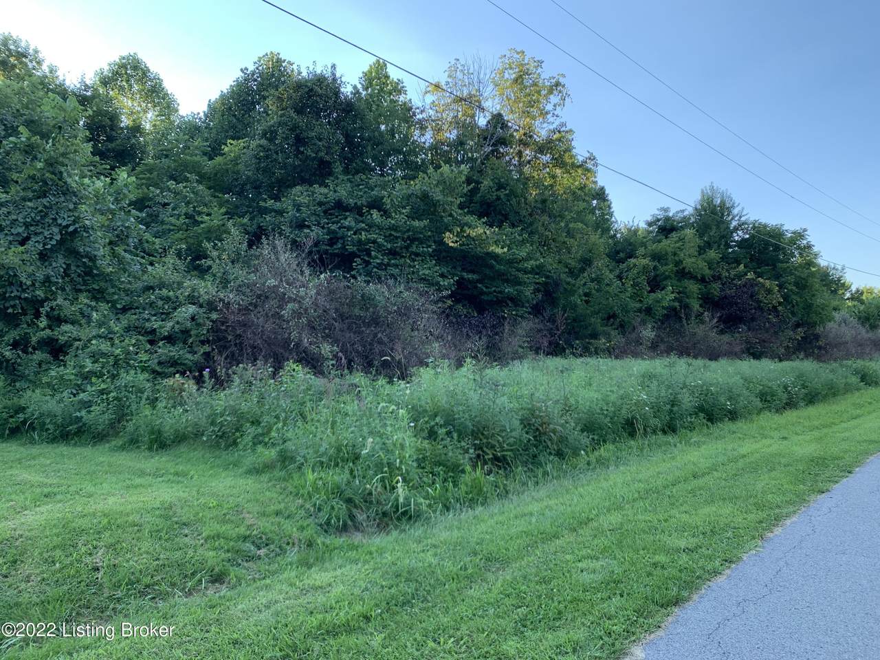 6 Wooded Ridge Rd - Photo 1