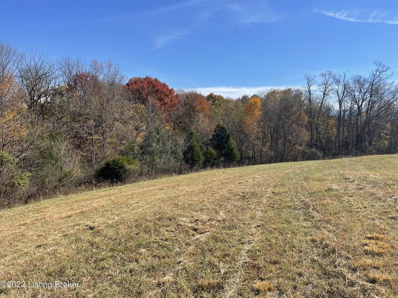 Lot 7 Southville Pike - Photo 1