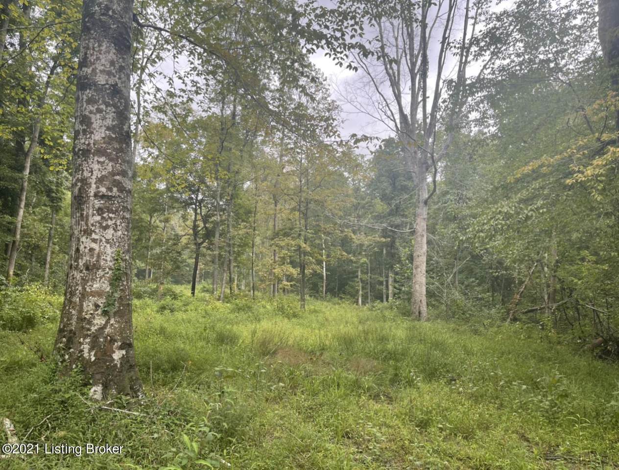 0 Stiles Rd - Photo 1