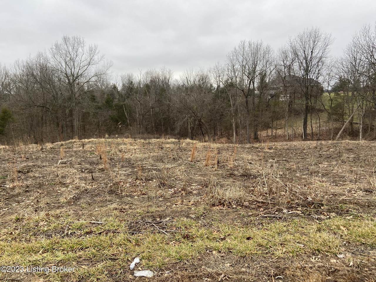 0 Meadowood Dr - Photo 1