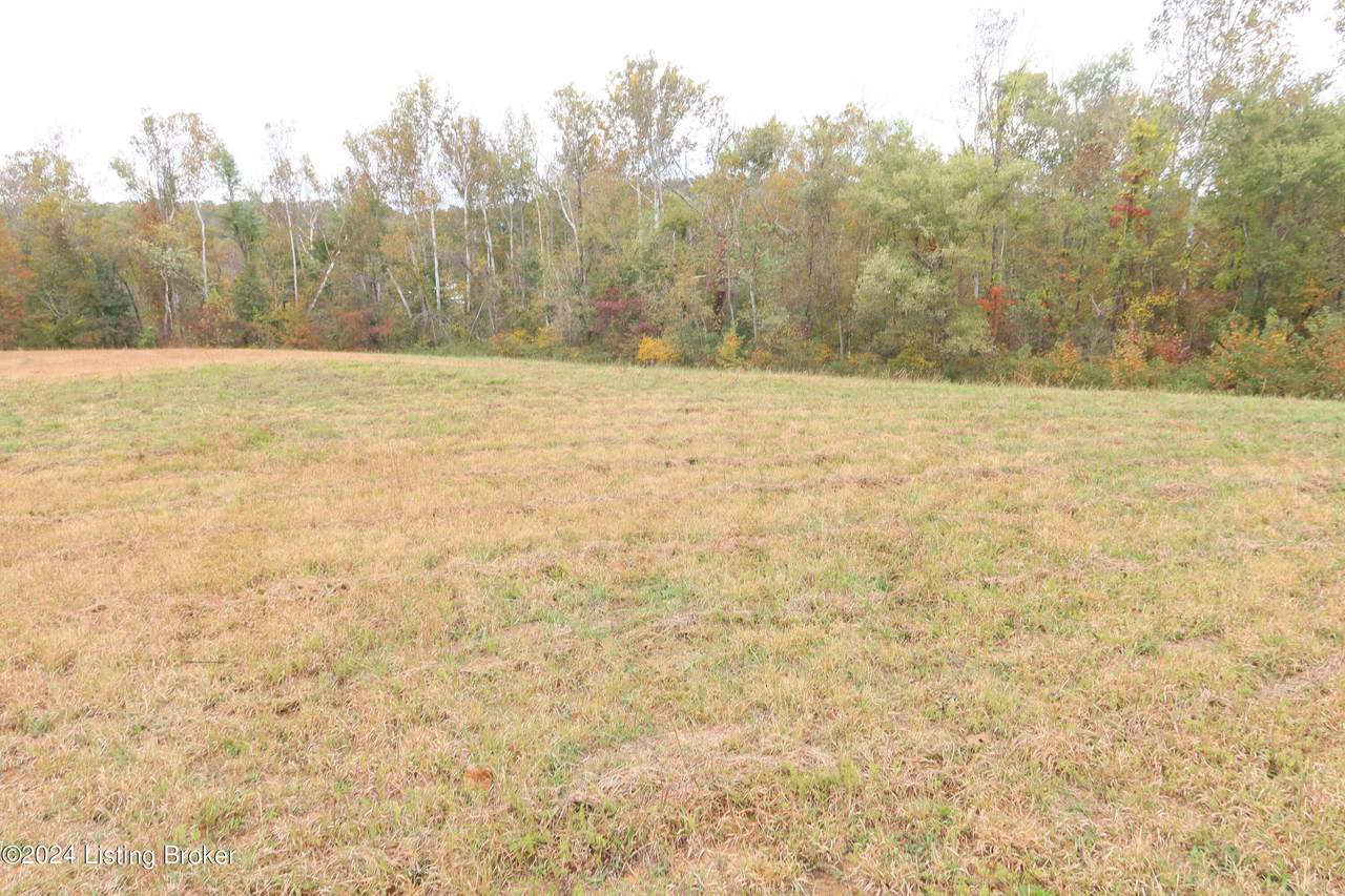 204/205 Phantom Buck Cir - Photo 1