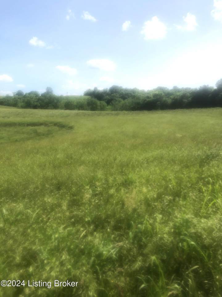 7  S Chowning Ln - Photo 1