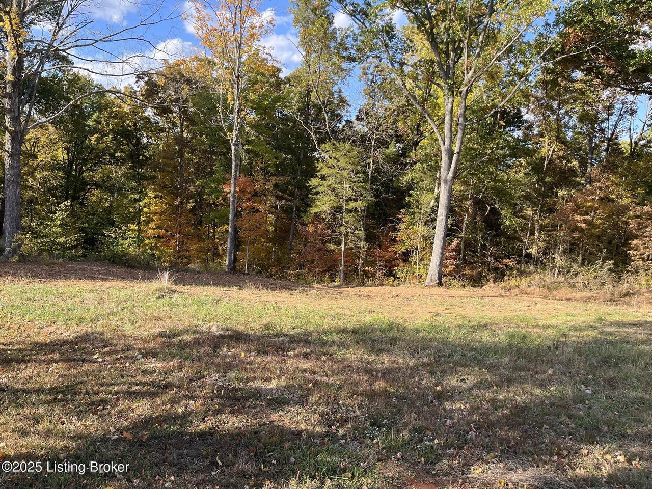 103 Laurel River Dr - Photo 1