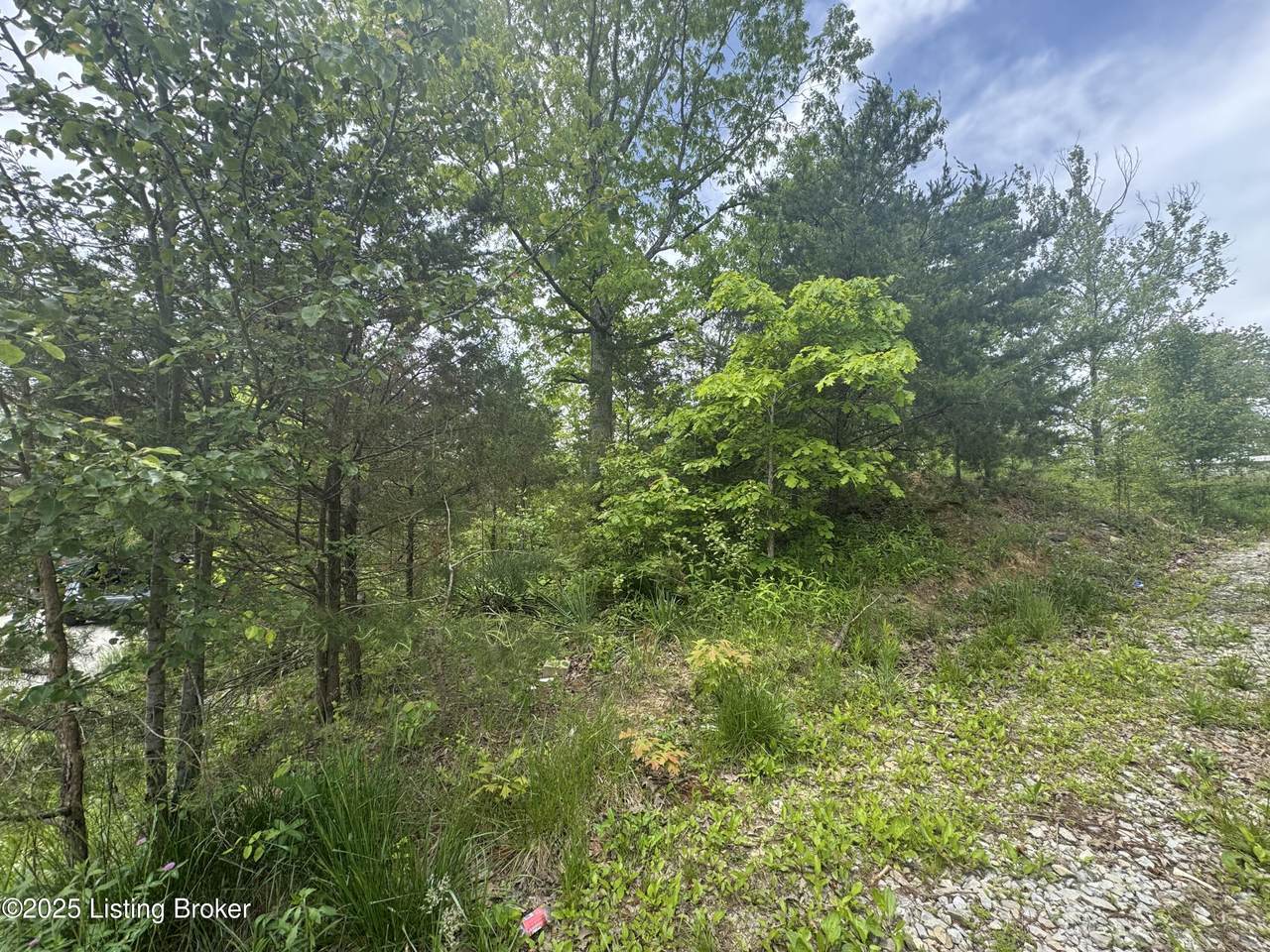 LOT 80 Thousand Oaks Cir - Photo 1