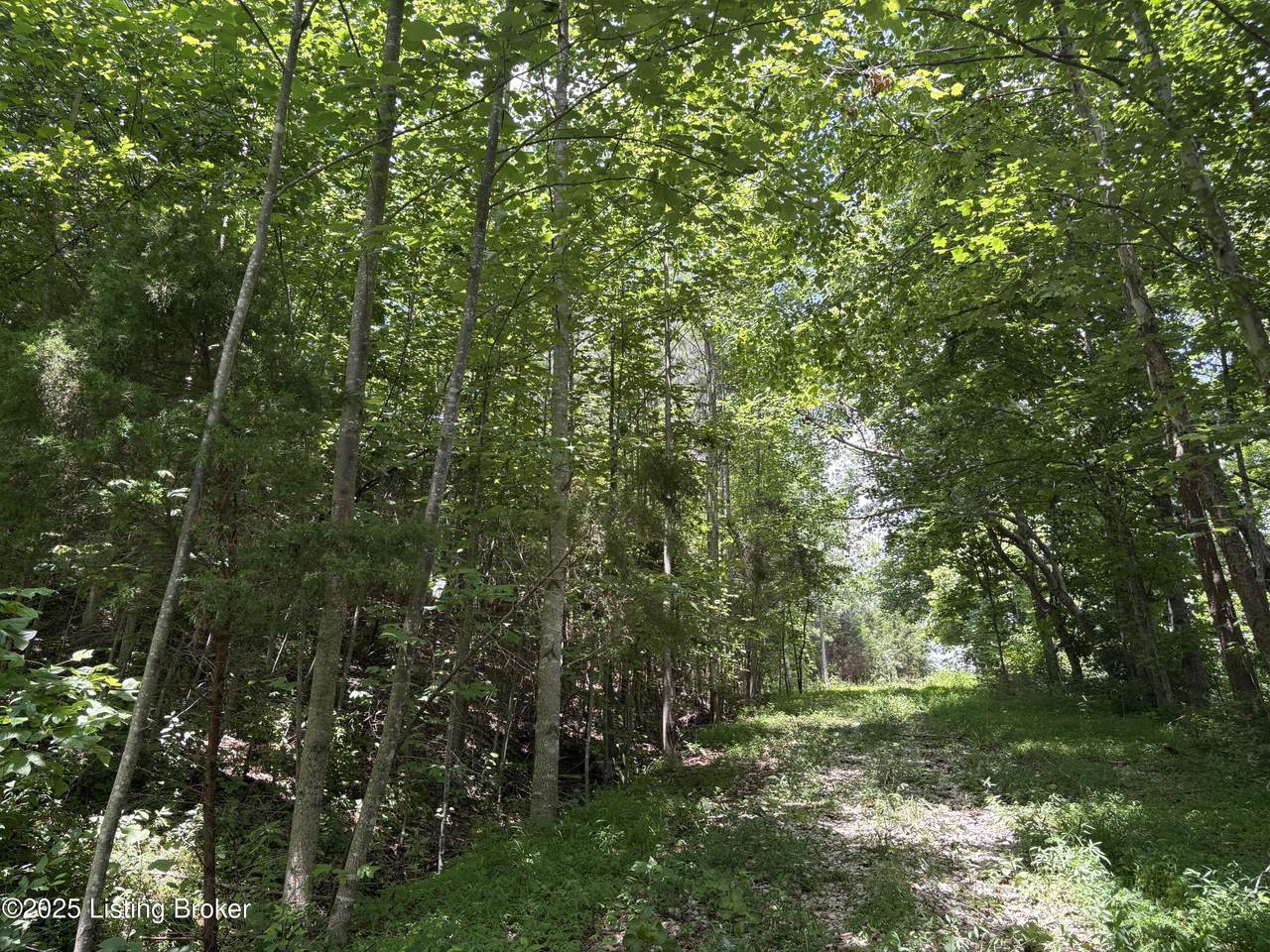 0 E Marks Ridge Rd - Photo 1