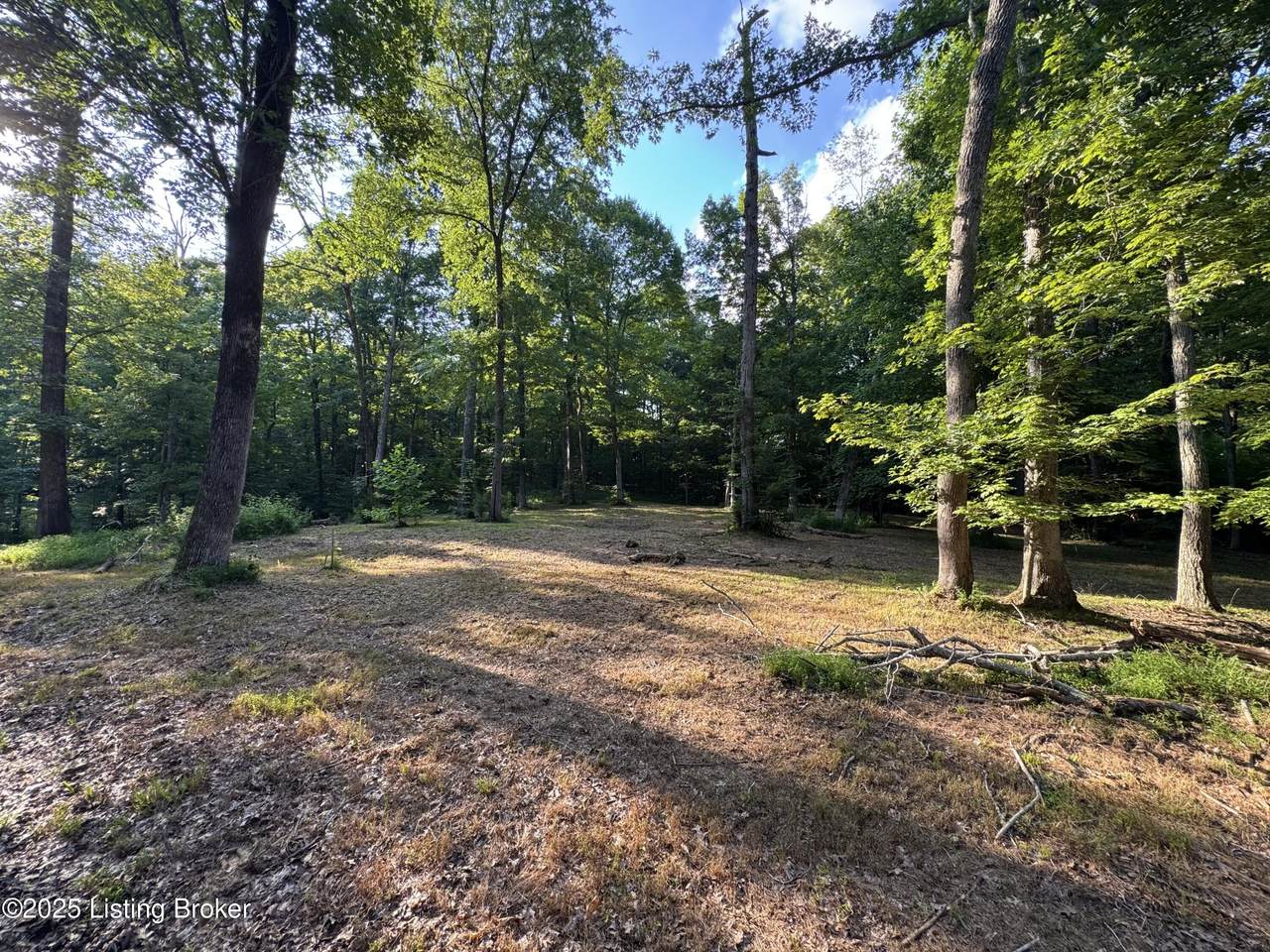 1193 Patriots Landing Ln - Photo 1