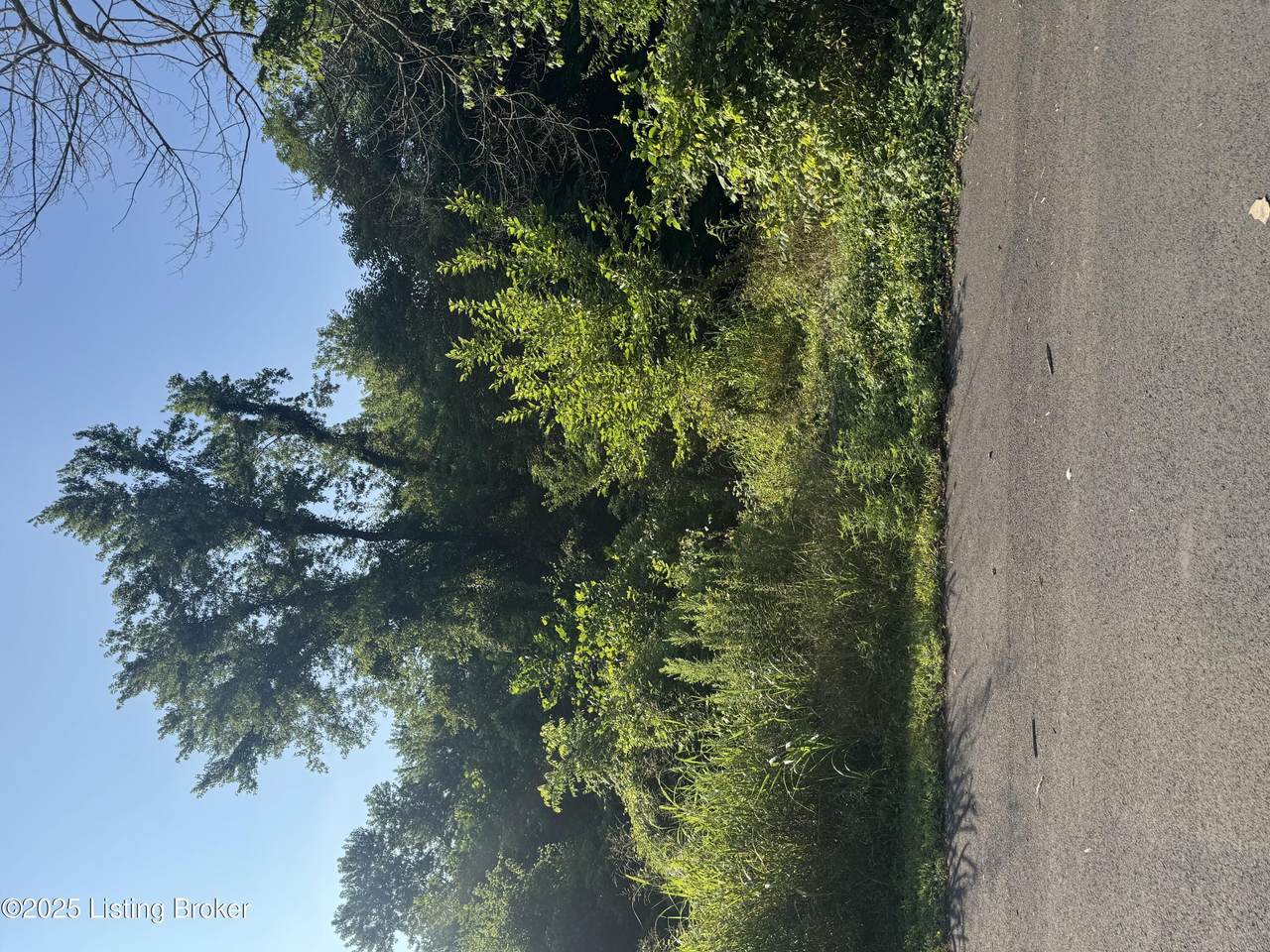 5003 Overbrook Dr - Photo 1