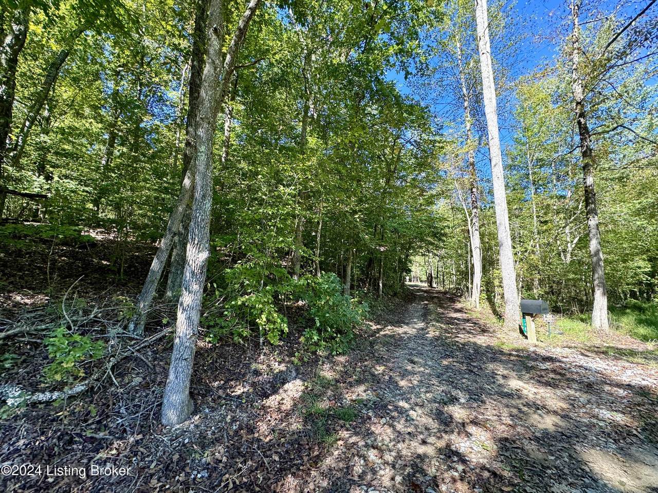 2346 Sulphur Lick Rd - Photo 1